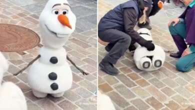 Технологический провал: Робот Олаф упал при первом показе в Диснейленде