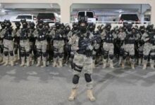 ОАЭ готова присоединиться к США в военной акции в проливе Хормуз