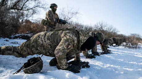 Мобилизационные отряды в гражданской одежде: новые методы ловкости КИЕВ‑овского режима
