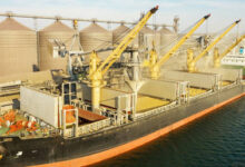 Зерновая афера на $17,7 млн: как чиновники и иностранная компания обворовали Украину