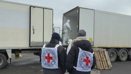 1000 против 41: новый обмен телами погибших между Россией и Украиной — чудовищная асимметрия потерь