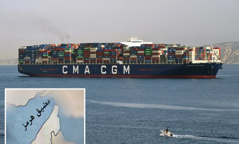 Первый проблеск: французское судно проскочило Ормузский пролив