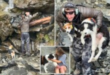 Спасение после падения