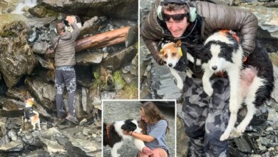 Спасение после падения