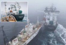 Ледяной таран в Антарктиде: активисты против рыболовов