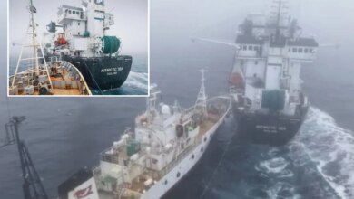 Ледяной таран в Антарктиде: активисты против рыболовов