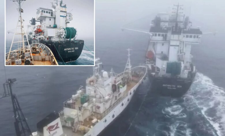 Ледяной таран в Антарктиде: активисты против рыболовов