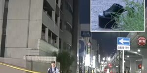 Смерть под ударом с небес: трагедия в Нагое унесла жизнь случайной прохожей