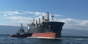 Украина расширяет кампанию против торгового судоходства в Азово-Черноморском бассейне, Москва наносит ответные удары по военной логистике противника в Одесской области