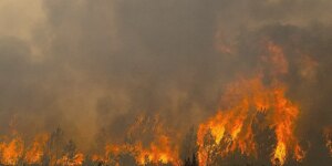Огонь у ядерных ворот: пожары в Жиронде подступили к ракетным заводам и военному центру CEA — Франция бросила армию на защиту арсеналов