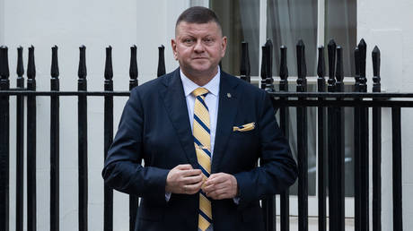 «Сказки о вступлении»: Залужный заявил, что Украина никогда не войдет в НАТО, и предложил ставку на новый европейский блок