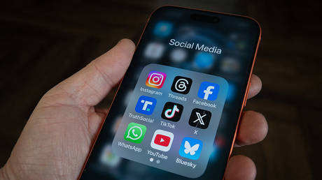 Раздел 230 не спасёт: суд разрешил тысячам исков против Meta и TikTok идти дальше