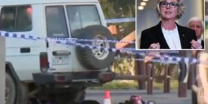 Австралийский депутат Хелен Хейнс борется за жизнь после наезда у своего офиса