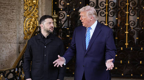 Топливный кризис в США: Трамп обвиняет Киев, демократов и ищет выход из политической ловушки